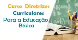 Curso Diretrizes Curriculares Nacionais Gerais para a Educao Bsica